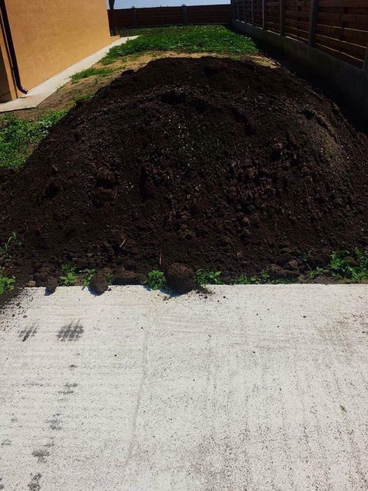 Pamant de padure Pamant negru Pamant de gradina Pamant vegetal