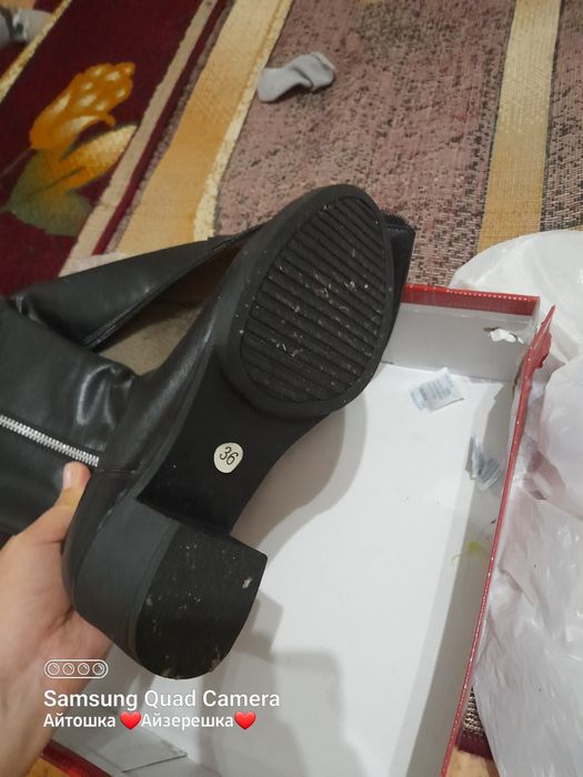 Сапоги демисезон