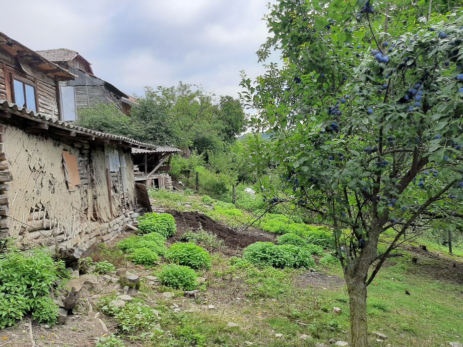 Teren de vanzare com chiojdu jud buzau