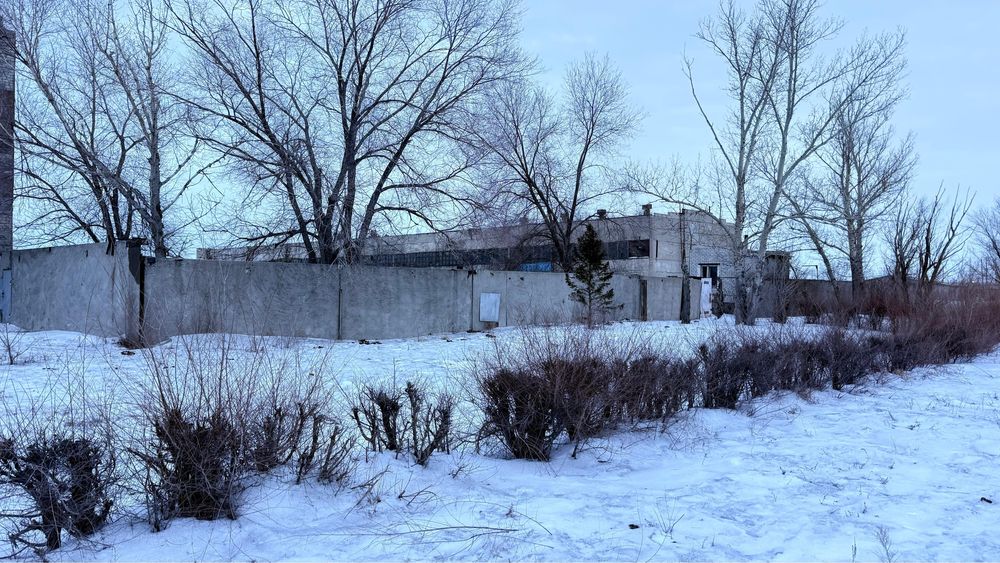 Сдам в аренду боксы скалд