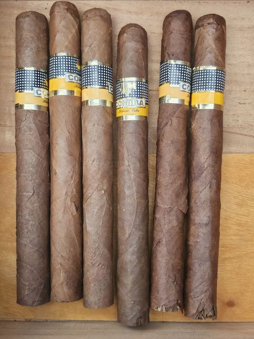 HUMIDOR trabuc Cohiba