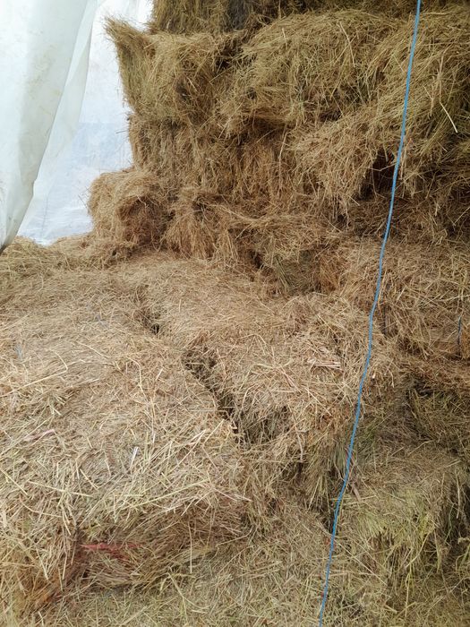 Vând baloți de fân