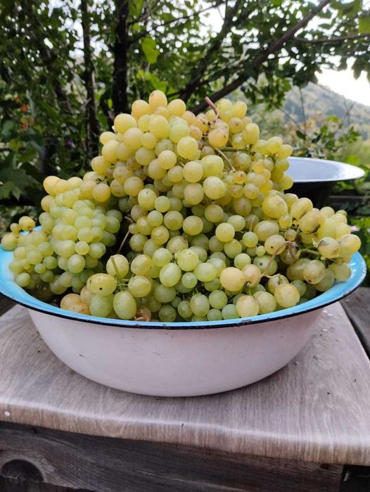 продается дача 4й район с,о Казахстан