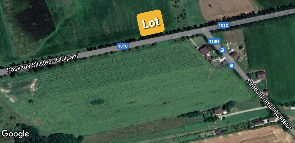 SUPER PROMO: Teren Stradal Intravilan Ciolpani-Ilfov
