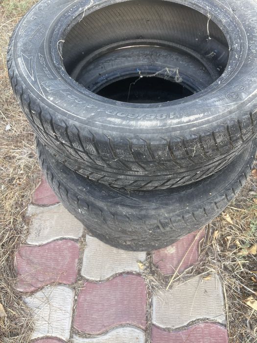 Продам шины  belshina 14R