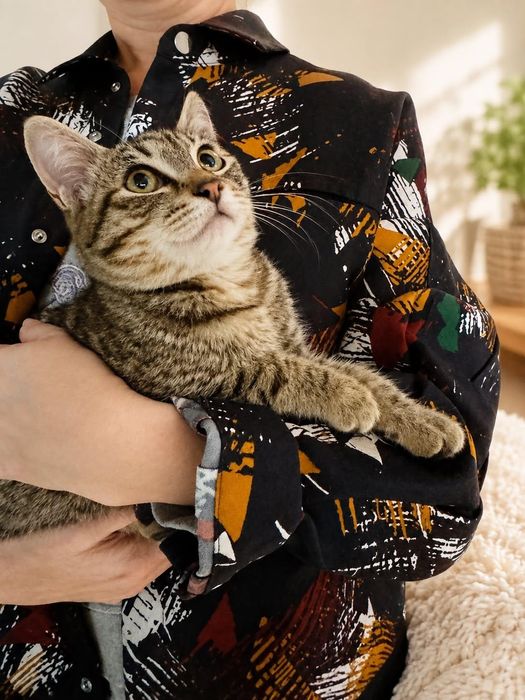 Котёнок в добрые руки