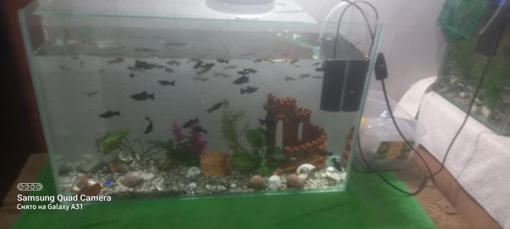 Продам аквариум  на 80 и 60  литров