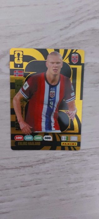 Stickere Panini WC 26