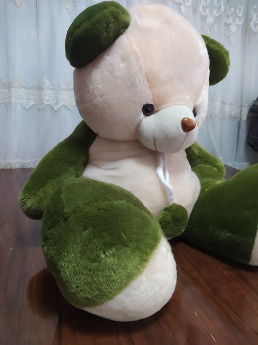 Yoqimtoy Ayiq, Pahmoqqina