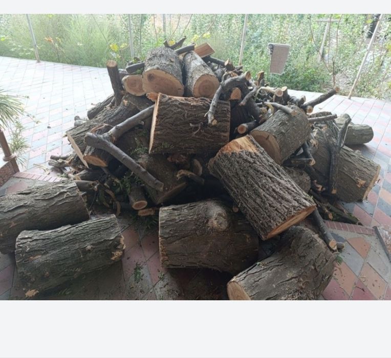 Утин сотилади мевали утин