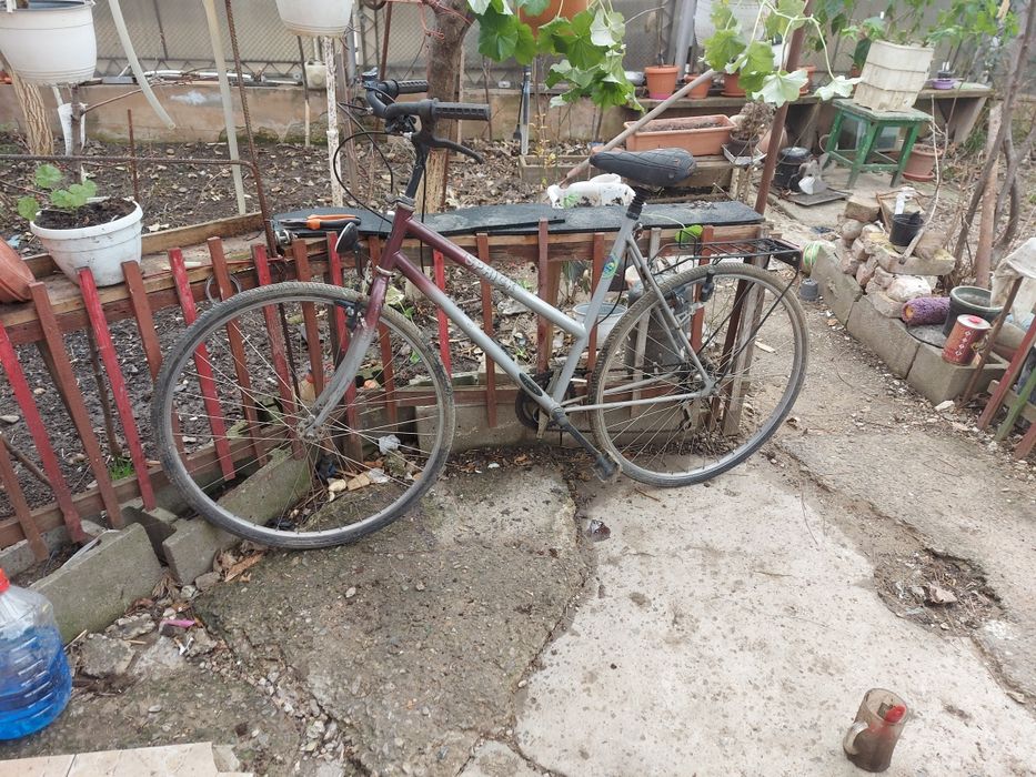 Biciclete adulti clasice 26" . 300 lei bucata