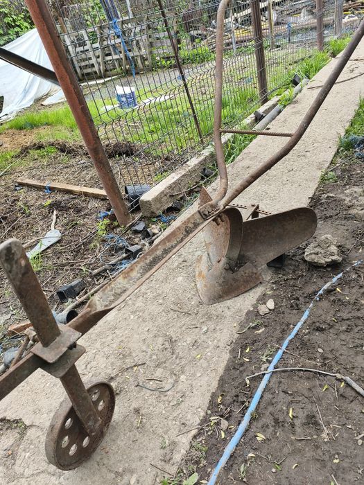 Prășitoare și rarita