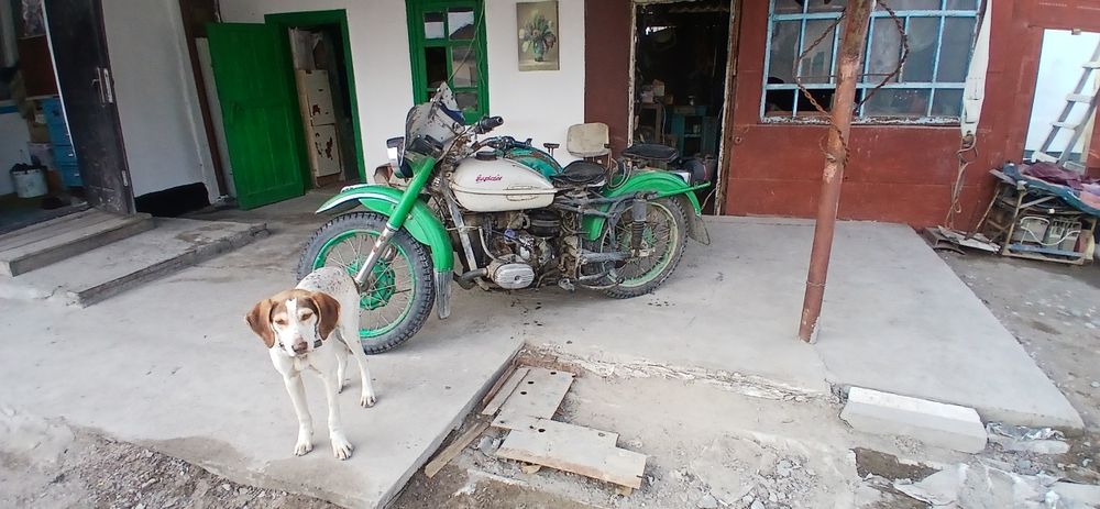 Мотоцикл Урал едет