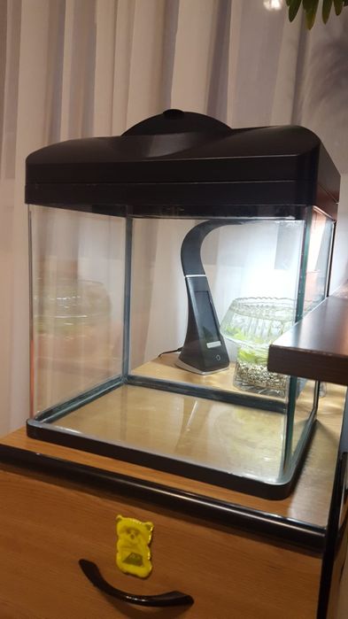 Acvariu sticla colectie cu capac
