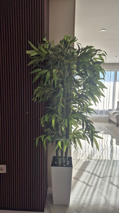 Растение изкуствен бамбук