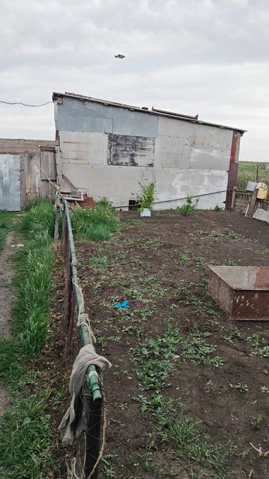 Продам хозяйство
