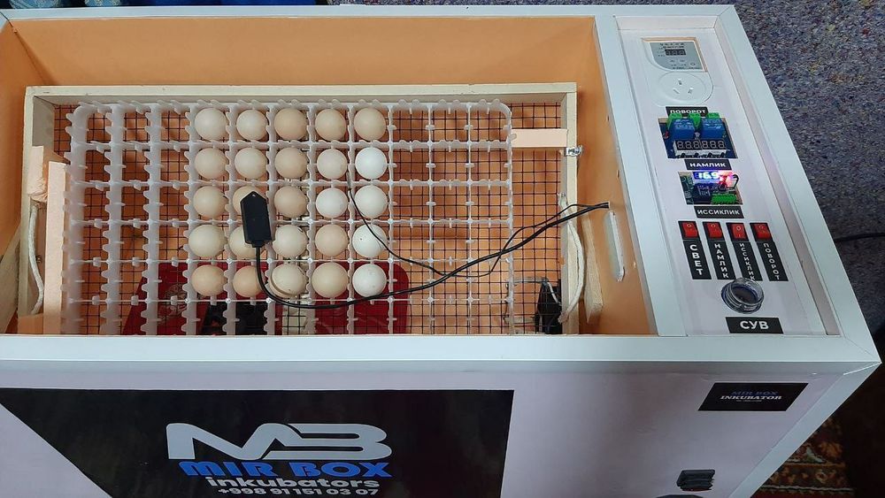 Инкубатор автомат заказга