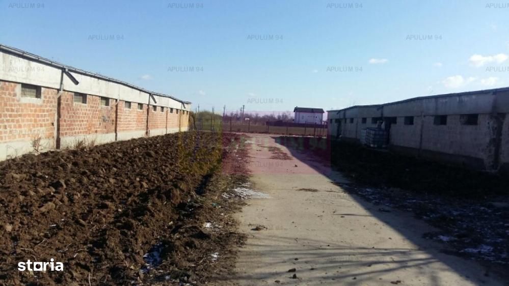 Teren Balotesti- Saftica- ideal pentru constructie locuinte.