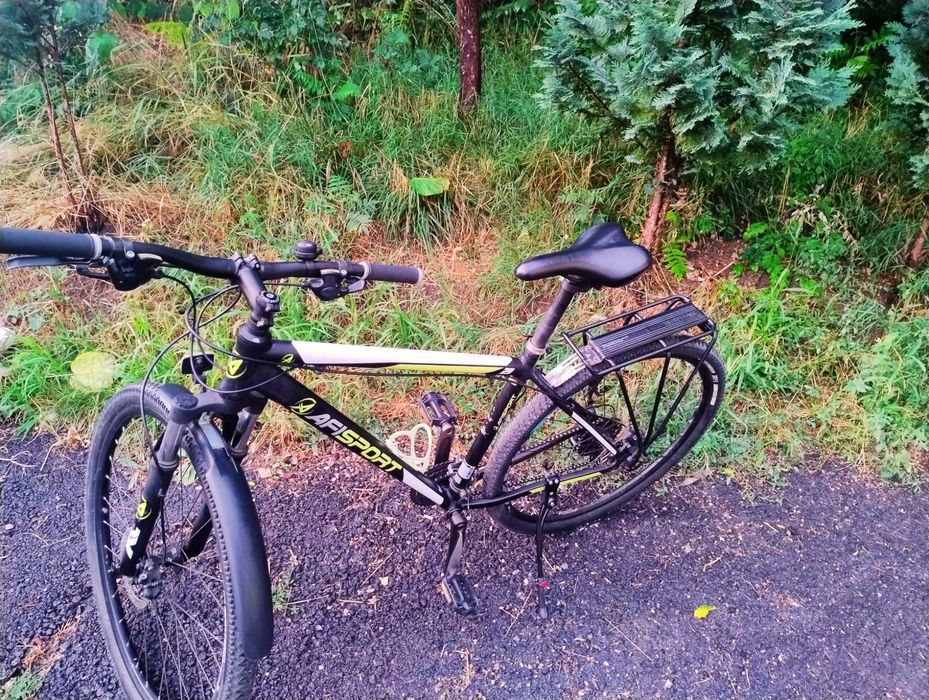 Bicicletă Mountain Bike (MTB) Afisport, 29 Inch, Cadru L, Frâne Disc