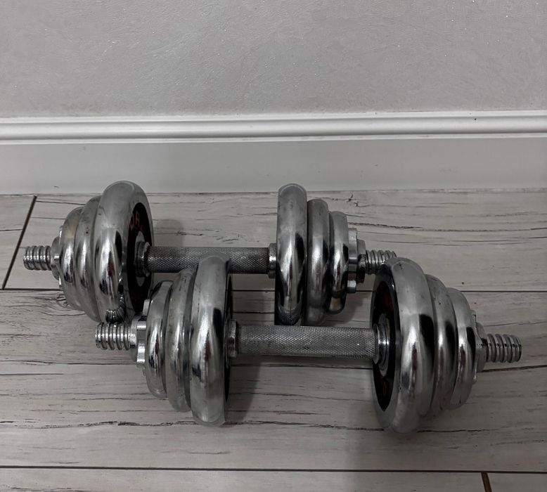 Гантели разборные 10 кг