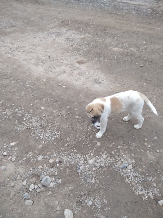 Срочно, срочно, срочно!!!