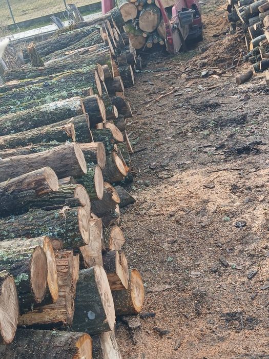 Lemne de foc esente tari