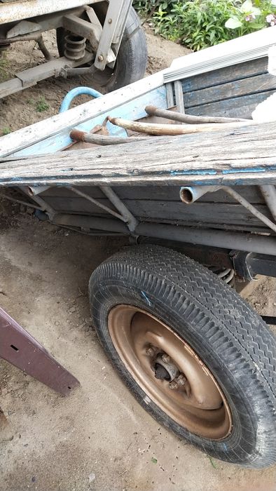 Ишачиха 8 лет сильная