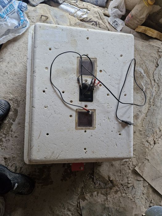 Продаётся на 104 яиц