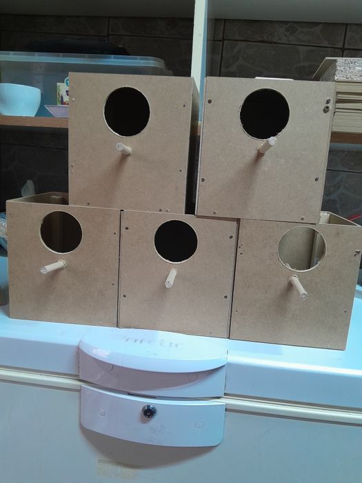 Vând cuiburi perusi