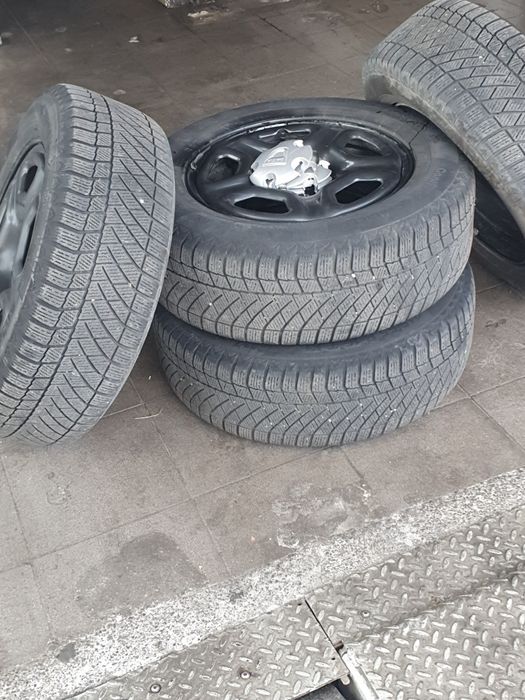 Roti Dusster/16iarna