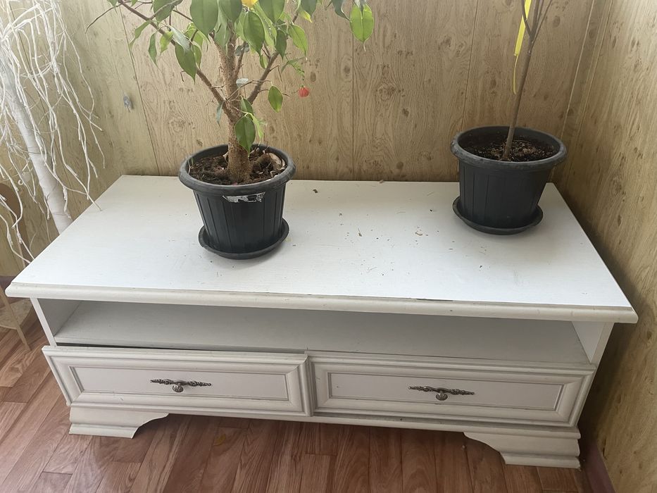 Продам тумбочку под телевизор илт других вещей белого цвета