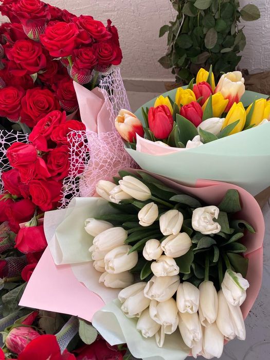 Тюльпан тюльпан цветы