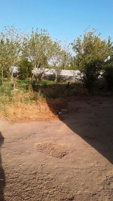 Xovlilik uy sotiladi zudlik bilan