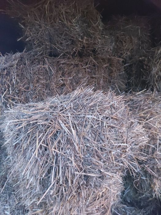 Baloți paie curate ținute la adăpost