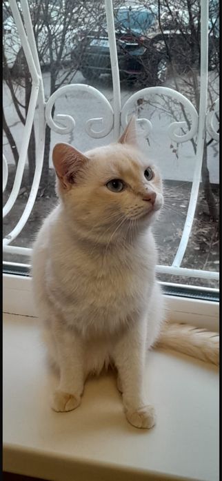 В ответственные руки