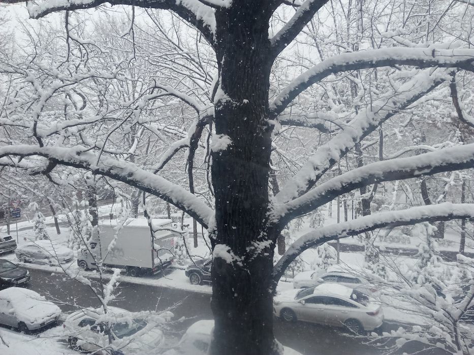 Аренда квартиры.