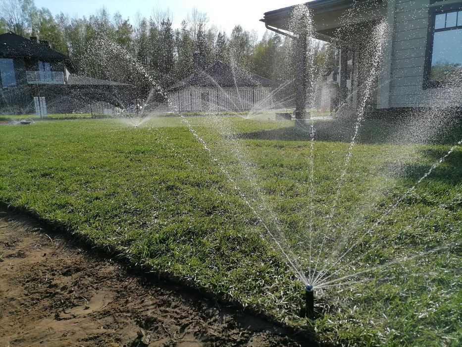 Газон посевной Рулонный газон