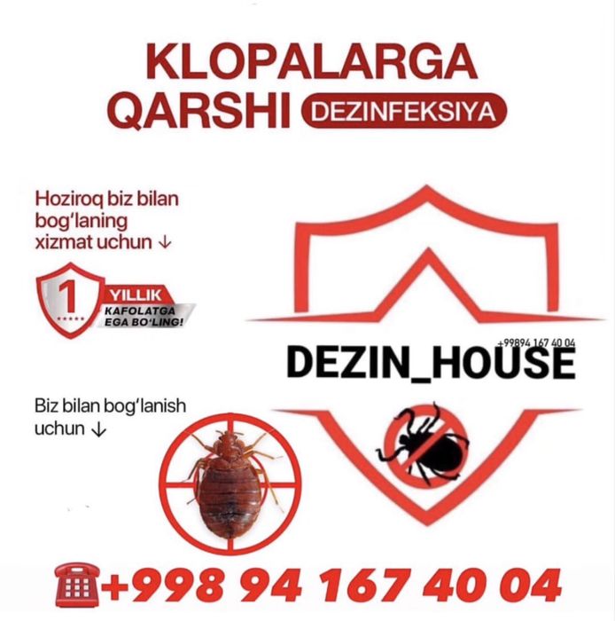 Dezinfeksiya dizinfeksiya