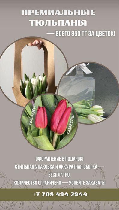 Тюлтпаны! Премиум класса и голладские!
