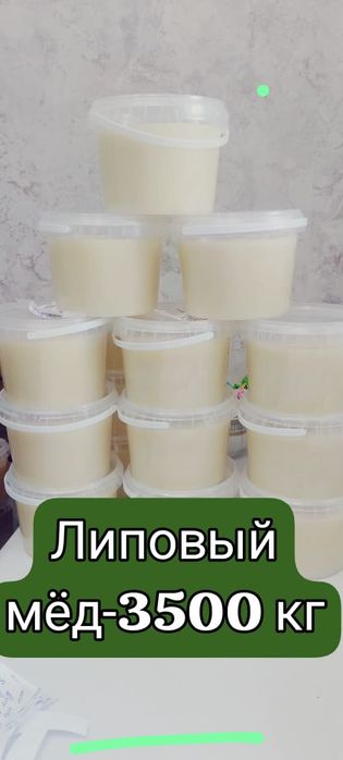 Алтайский край мёд.