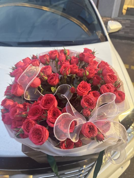 Продам цветы ……….