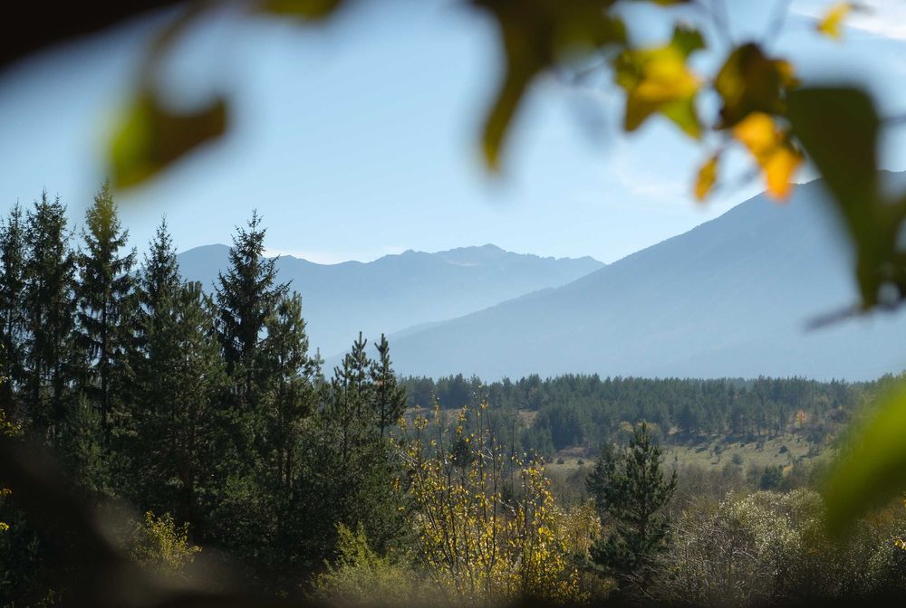 Продава се Парцел в Банско - 500 кв.м за 50 €/кв.м - Снимка #13