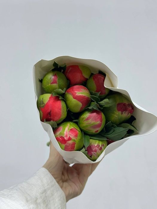 Пионы в наличии.