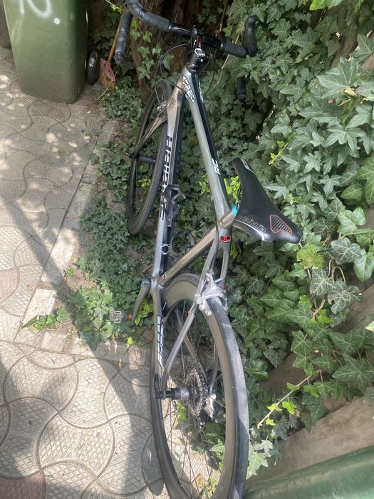 Bicicleta Carbon Cursiera