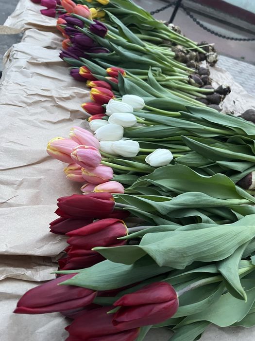 Тюльпаны свежие с луком