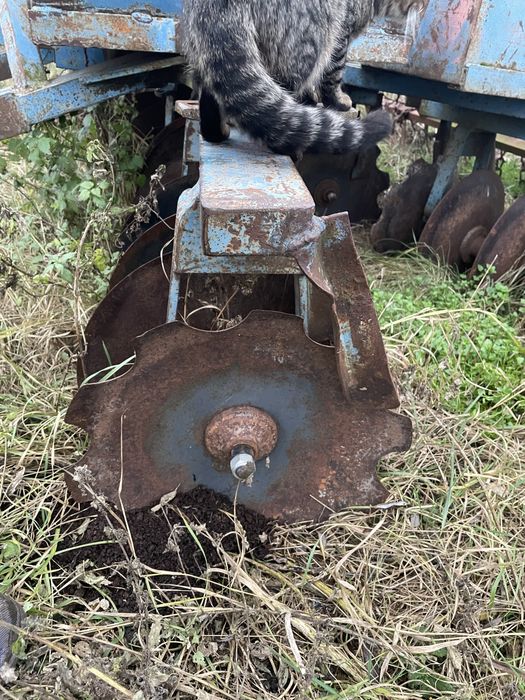 Vand sau schimb disc robust