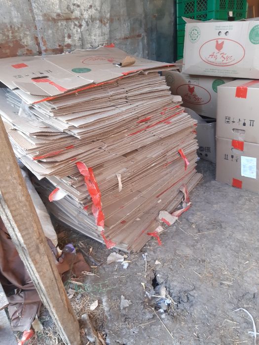 Продам коробки под яйцо