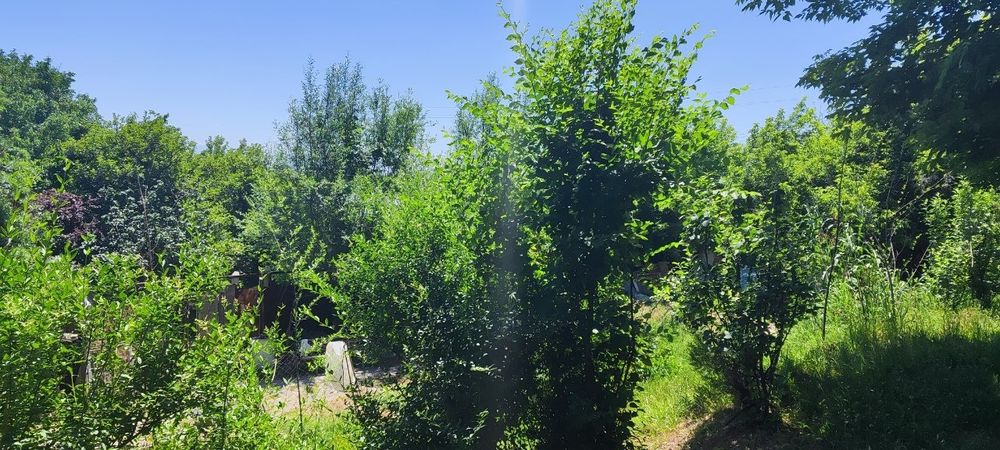 Земельный участок с домом в доль канала