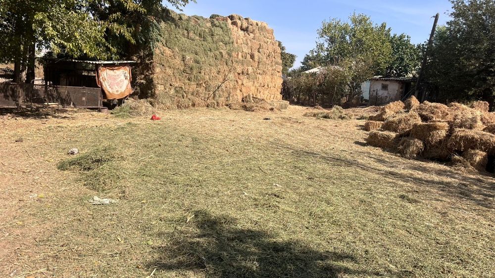 Шөп Сатылады. Бағасы 1600теңге