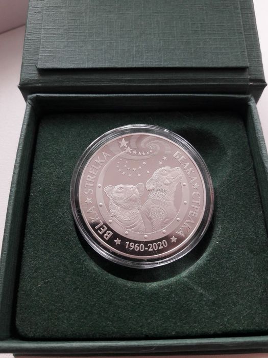 Пруф белка стрелка